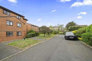 Photo 3- click for photo gallery